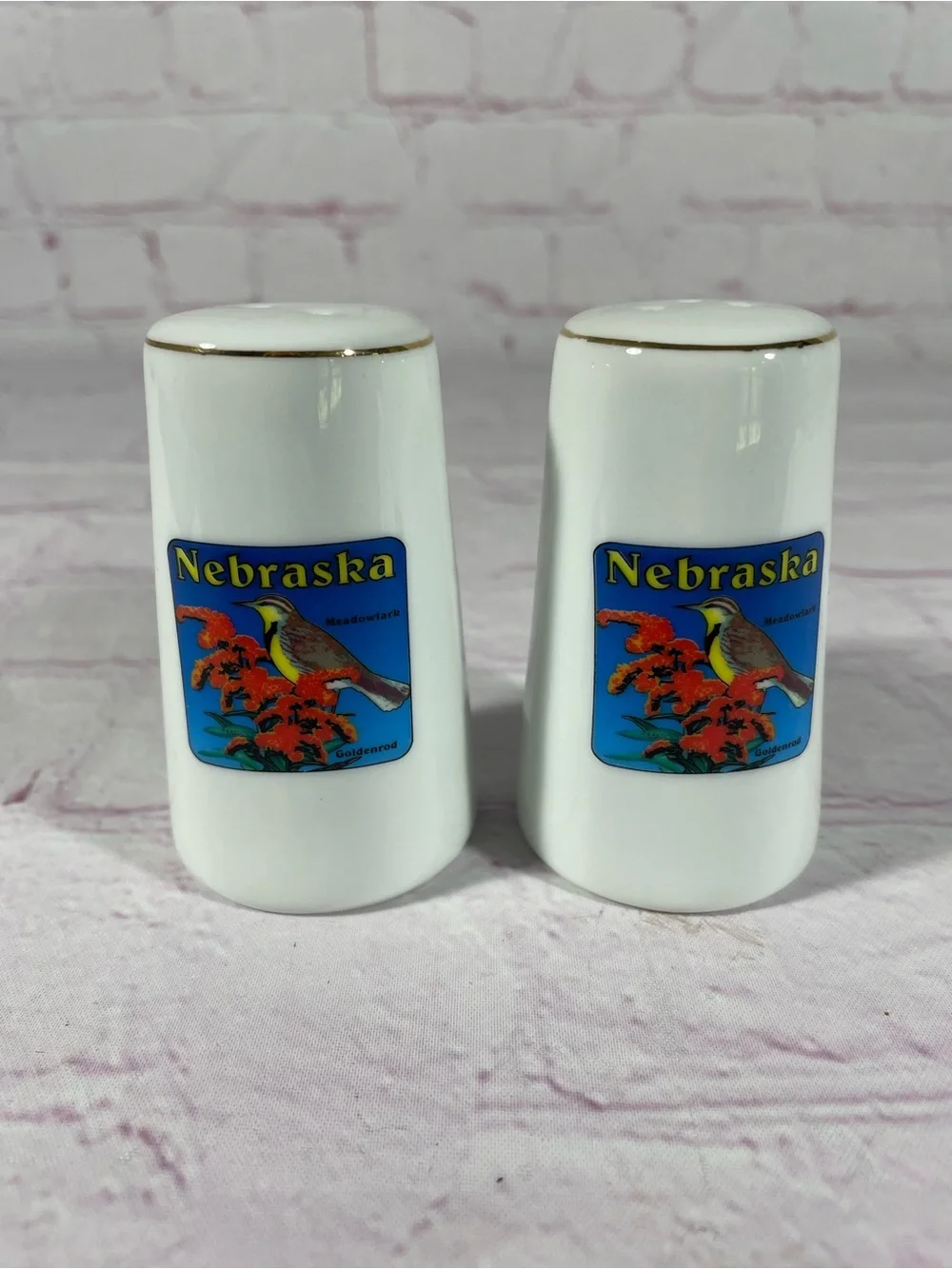 Vintage Nebraska Meadowlark Goldenrod Souvenir Salt and Pepper Shaker Pair
